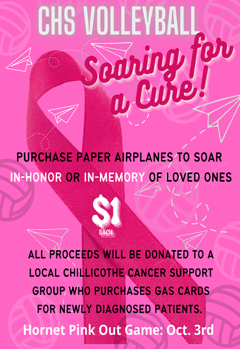 CHS Volleyball To Host ‘Searching For A Cure’ Game Oct. 3